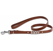Doxtasy Dog Leash With Name Brown (Medium)