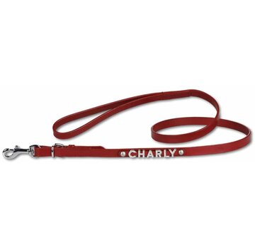 Doxtasy Dog Leash With Name Medium Red