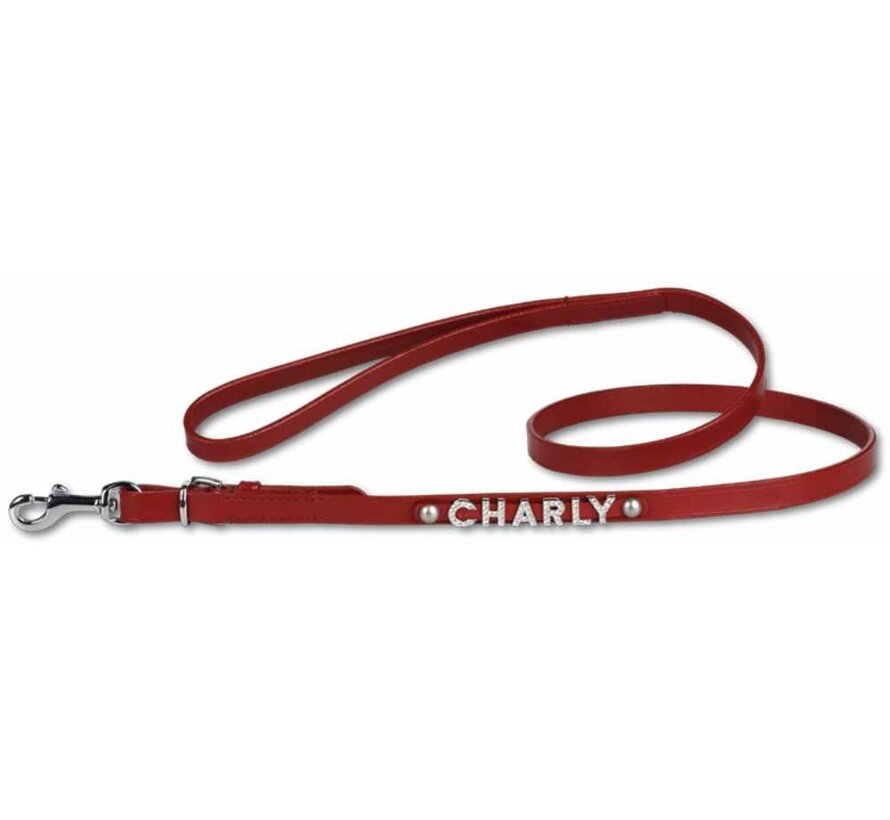 Dog Leash With Name Medium Red