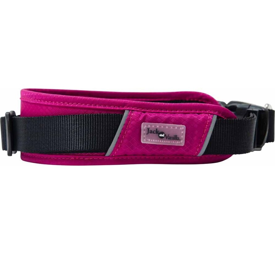 Dog Collar Expedition Fuchsia