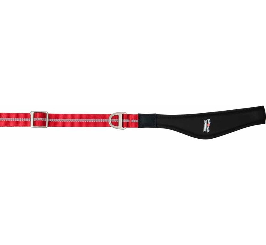 Adjustable Dog Leash Expedition Red
