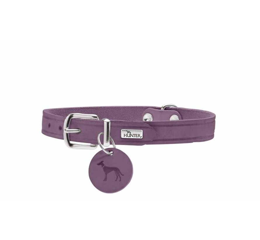 Dog Collar Aalborg Purple