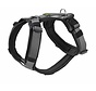 Hondentuig Maldon Up Zwart