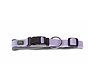 Dog Collar Neoprene Vario Plus Lavender