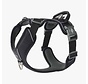 Dog Harness Comfort Walk Pro Black (2024)