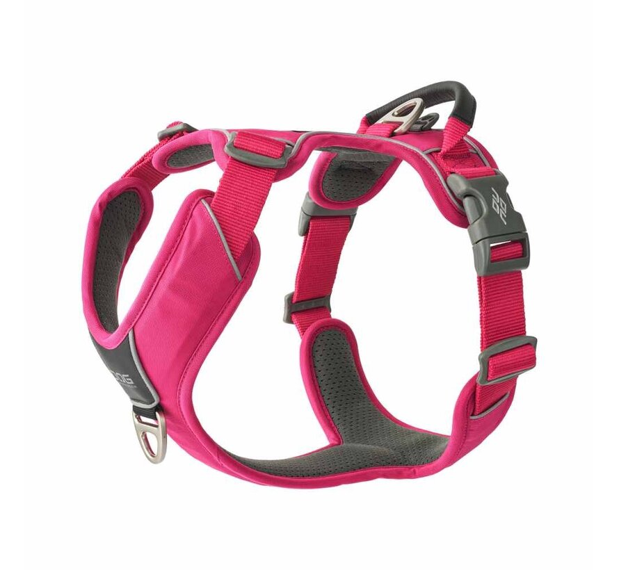 Dog Harness Comfort Walk Pro Wild Rose (2024)