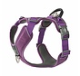 Hondentuig Comfort Walk Pro Puple Passion (2024)