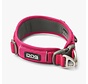 Hondenhalsband Urban Explorer Wild Rose (2024)
