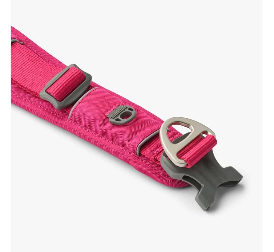 Dog Collar Urban Explorer Wild Rose (2024)