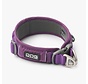 Dog Collar Urban Explorer Purple Passion (2024)