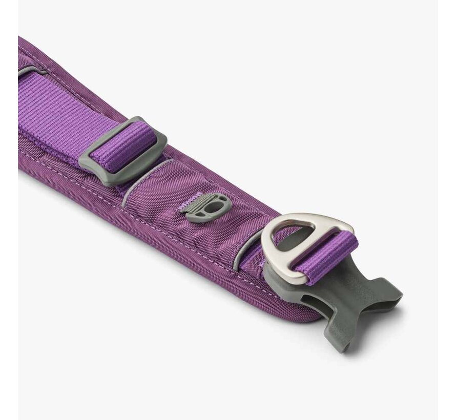 Hondenhalsband Urban Explorer Purple Passion (2024)
