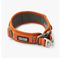 Dog Collar Urban Explorer Orange Sun (2024)