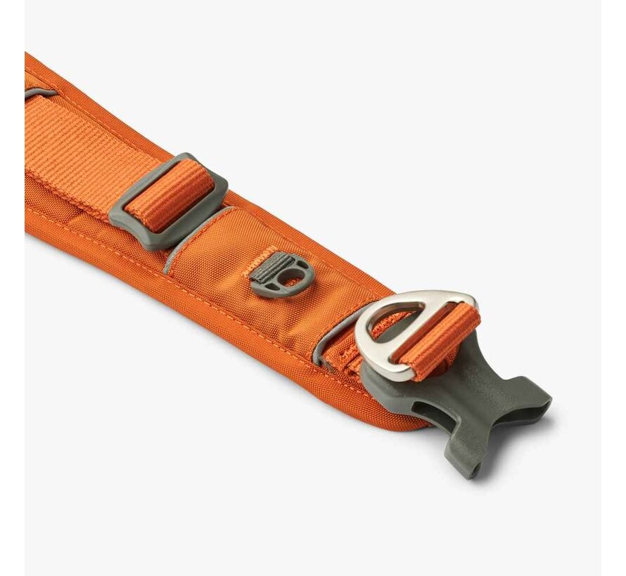 Dog Collar Urban Explorer Orange Sun (2024)