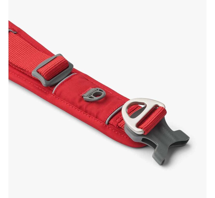Hondenhalsband Urban Explorer Classic Red (2024)