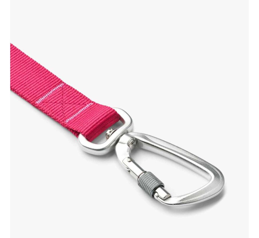 Dog Leash Urban Trail Wild Rose (2024)