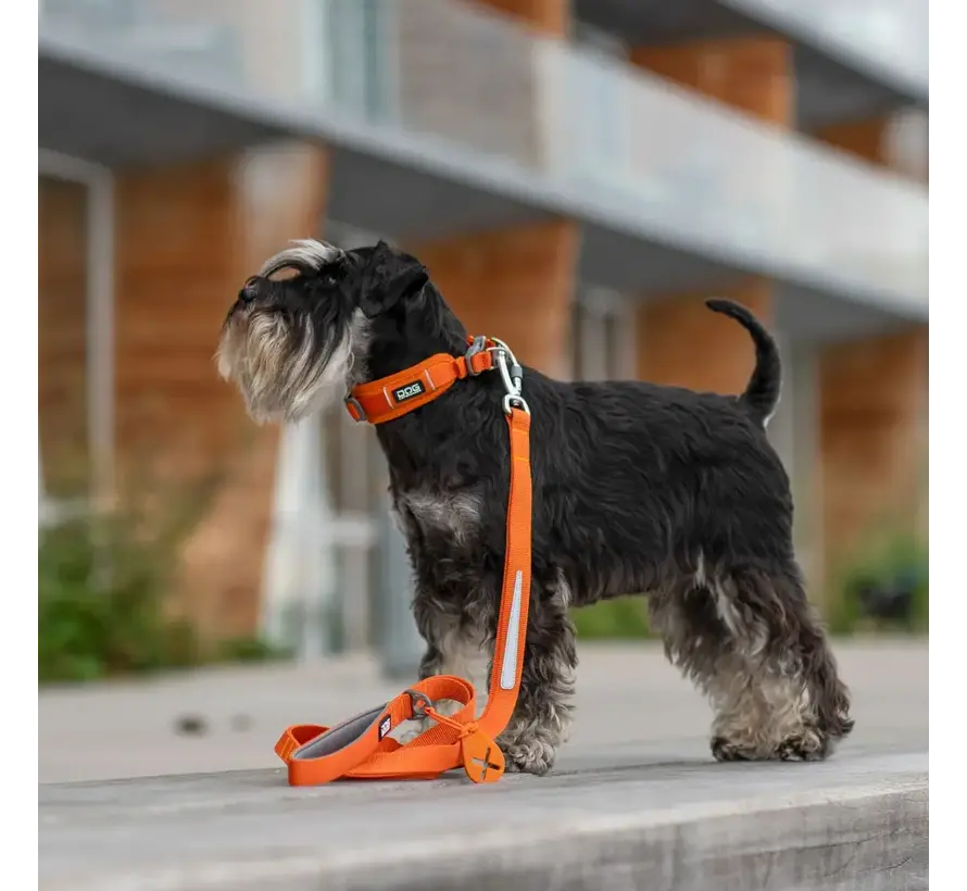 Dog Leash Urban Trail Orange Sun (2024)