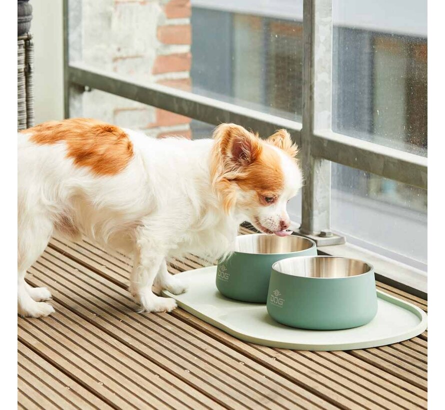 Voerbakmat Libra Mint Green