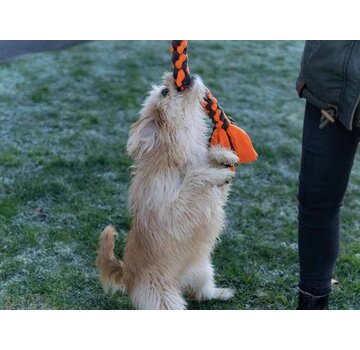 TrendPet Dog Toy Zergel