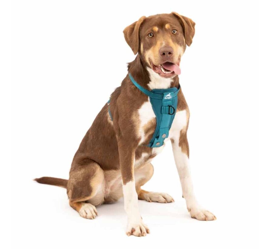 Honden Veiligheidsharnas voor de auto - Blauw