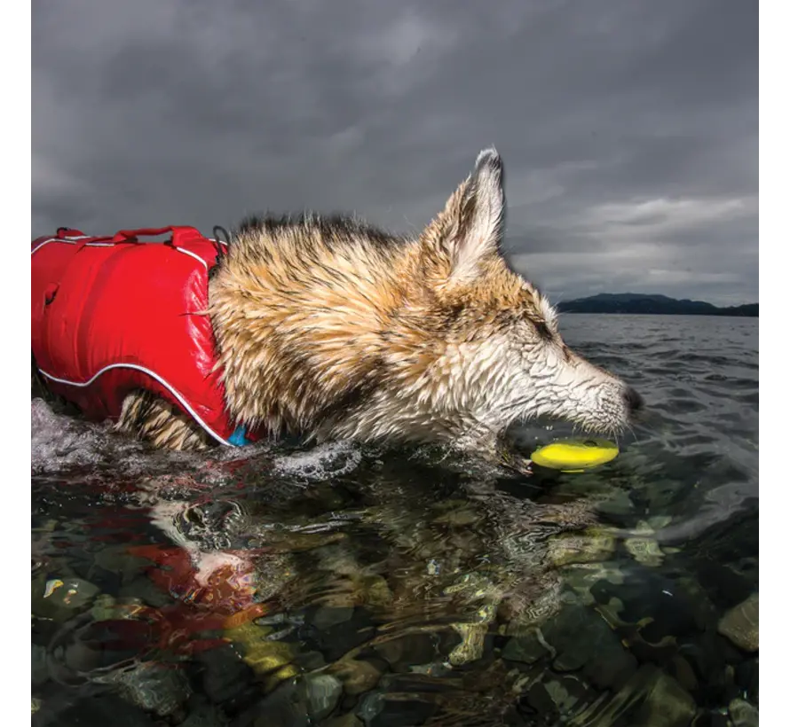 Dog Toy Skipping Stones Three Pack (3 pack)