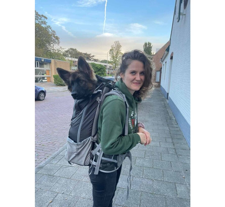 Dog Backpack Kolossus Black