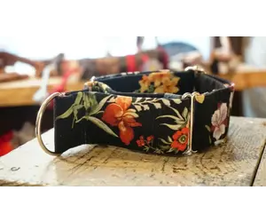 Dogsfutter Martingale Dog Collar Flowers Petsonline