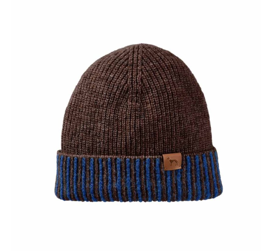 Hondentrui Odense Bruin