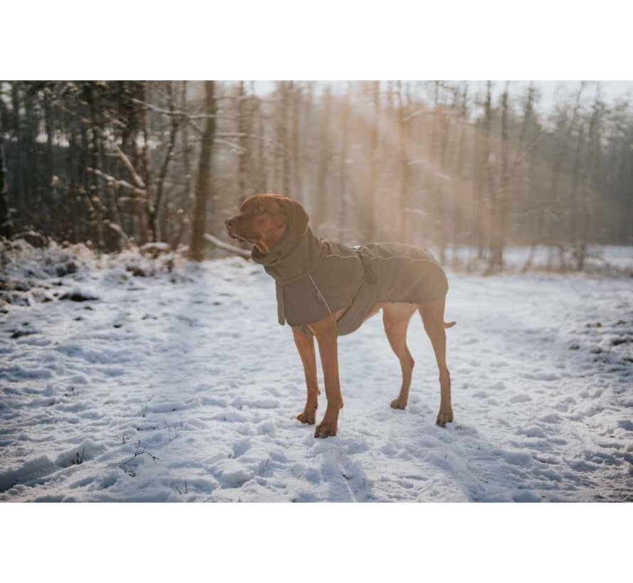 Dog Coat Nordby Green