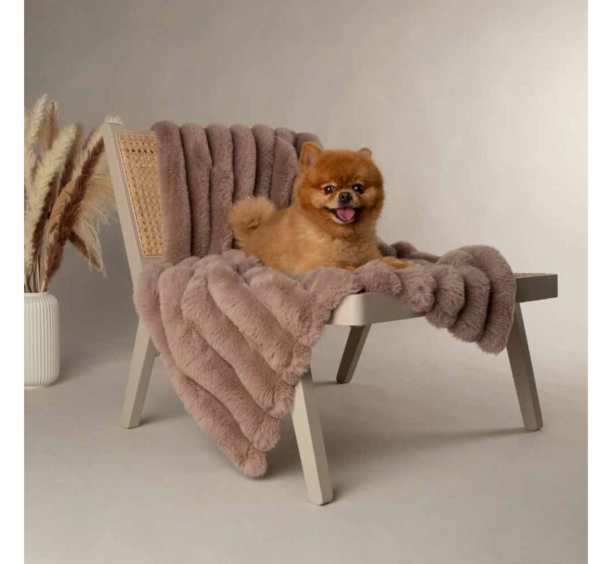 Dog Blanket Aspen Taupe