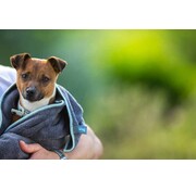 Henry Wag Microfiber Dog Towel