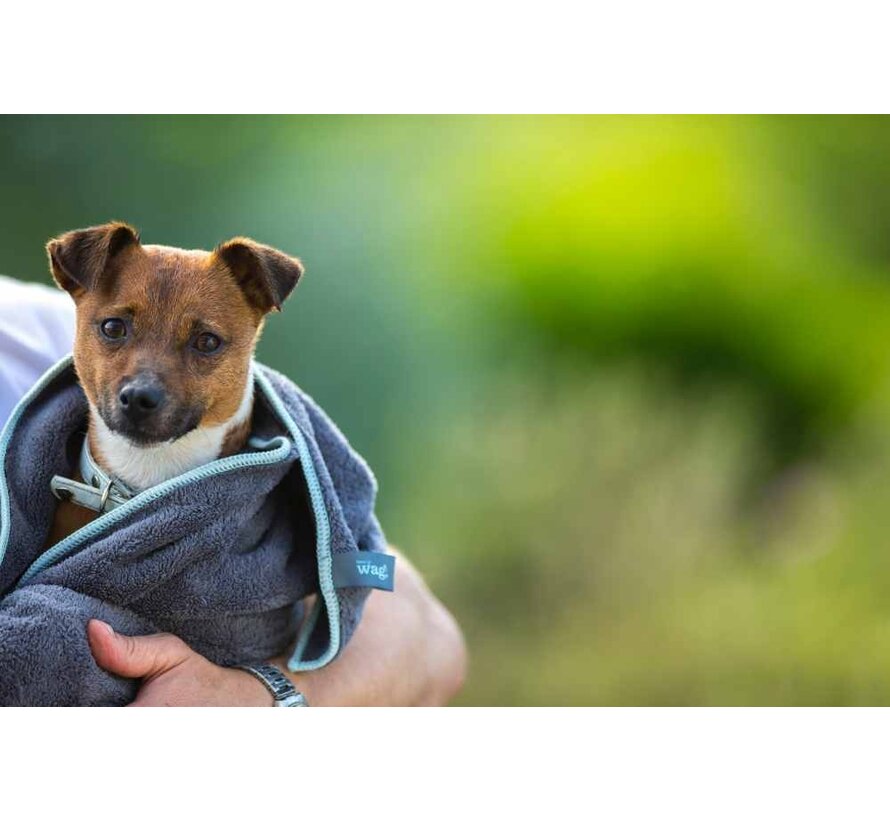 Microfiber Dog Towel