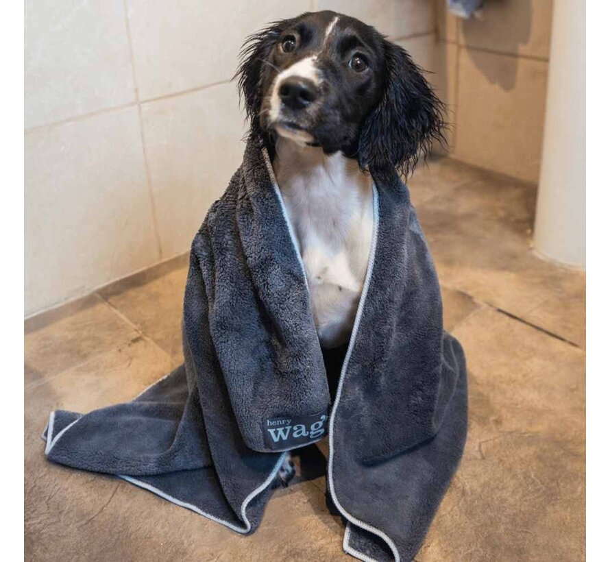 Microfiber Dog Towel