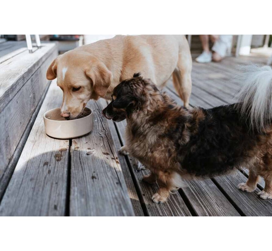 Drinkbak of Voerbak Osby Tan