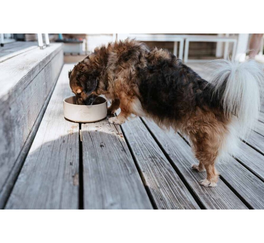 Drinkbak of Voerbak Osby Tan