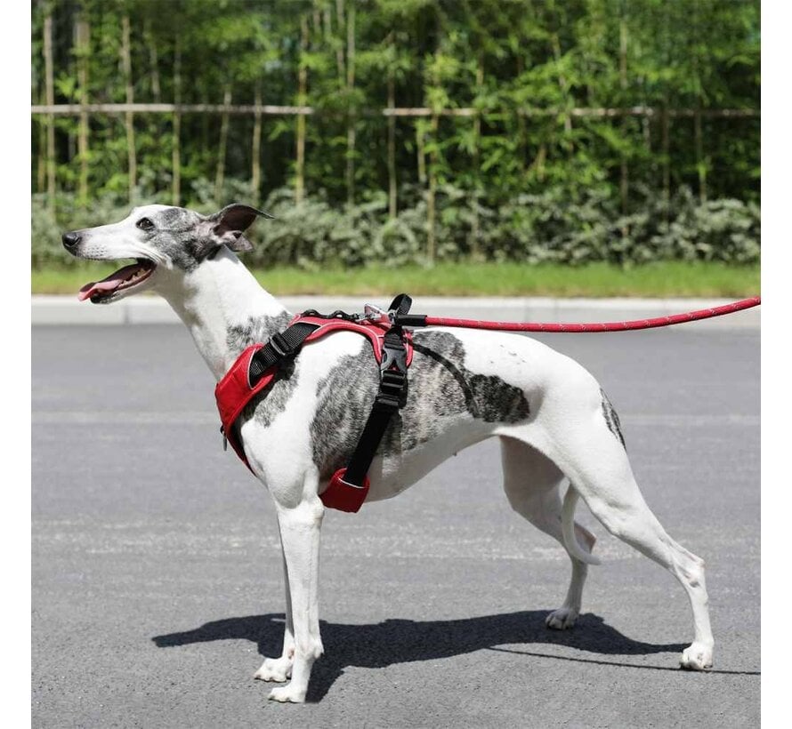 Dog Harness Expedition Red