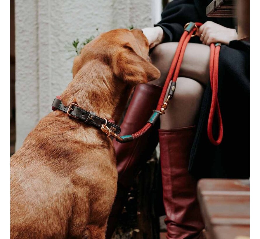 Dog Collar Malia Wine Red