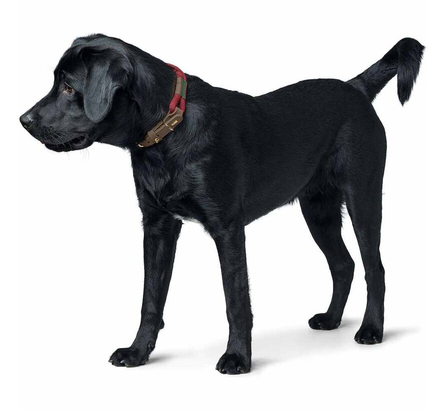 Dog Collar Malia Wine Red