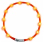 LED Dog Collar Orange