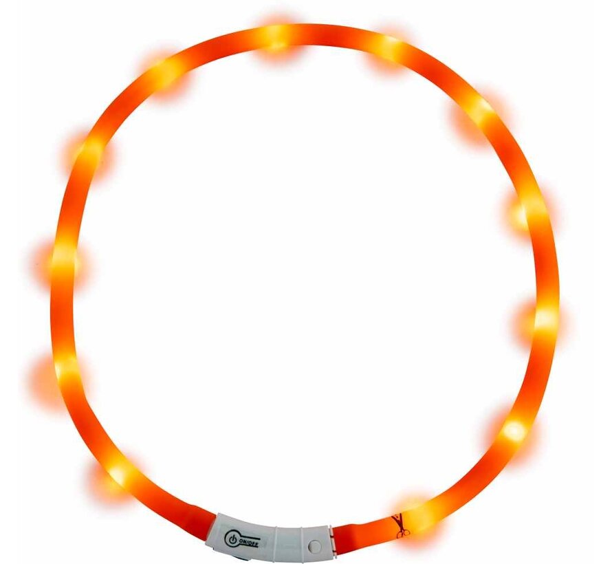LED Hondenhalsband Oranje