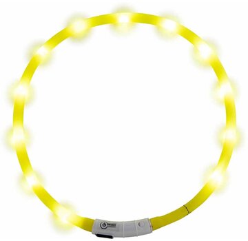 Jack and Vanilla LED Dog Collar Yellow