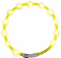 LED Hondenhalsband Geel
