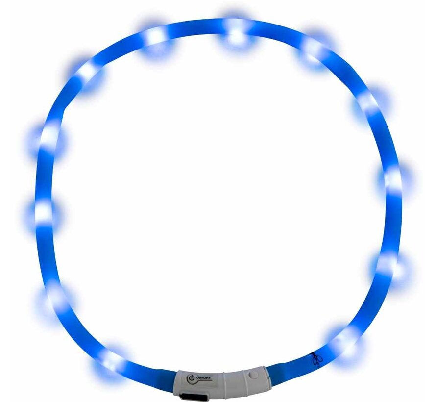 LED Dog Collar Blue