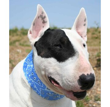 Aqua Coolkeeper Koelhalsband Blue Western