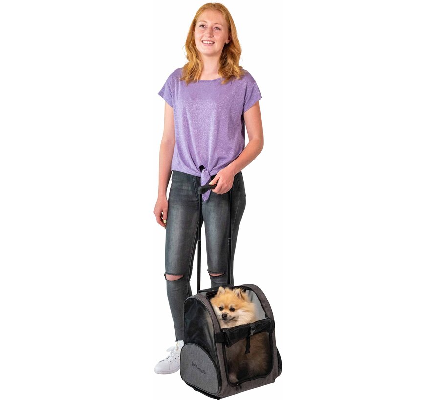 Dog Bag Travel Trolley