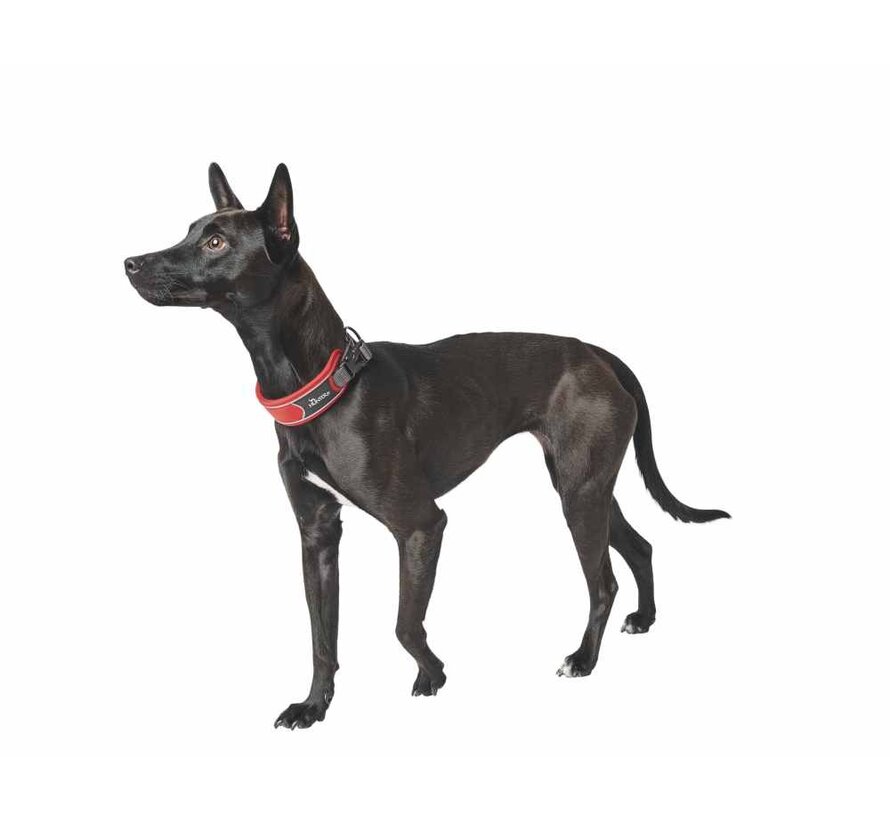 Dog Collar Divo Red