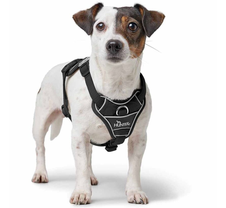 Divo Up Black Dog Harness