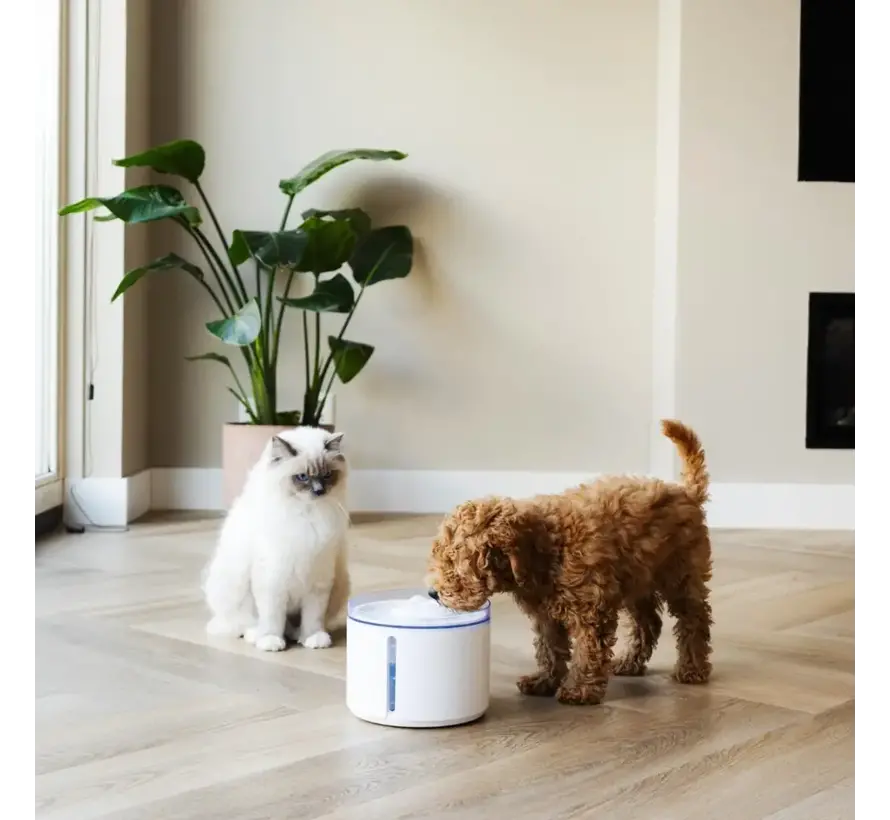 Drinking Fountain Flow White