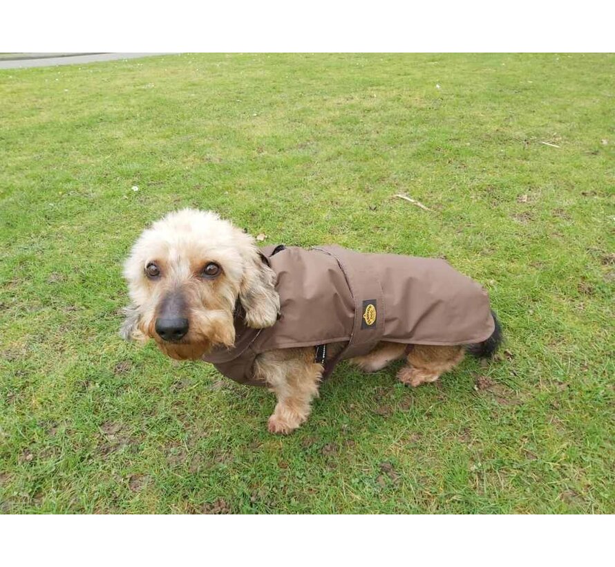 Dog coat Dachshund Brown