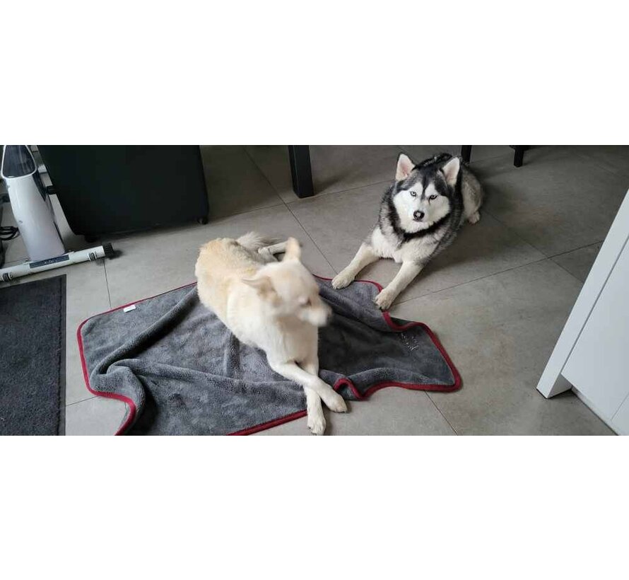 Ruby Dog Drying Blanket