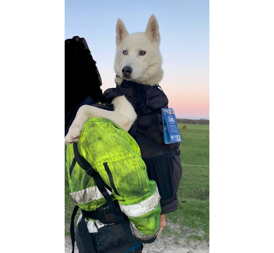 Dog Carrier Backpack Knavigate Black